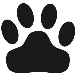 Stencils | Super Sized | Wild Cat Paw Print Stencil - stenci ...
