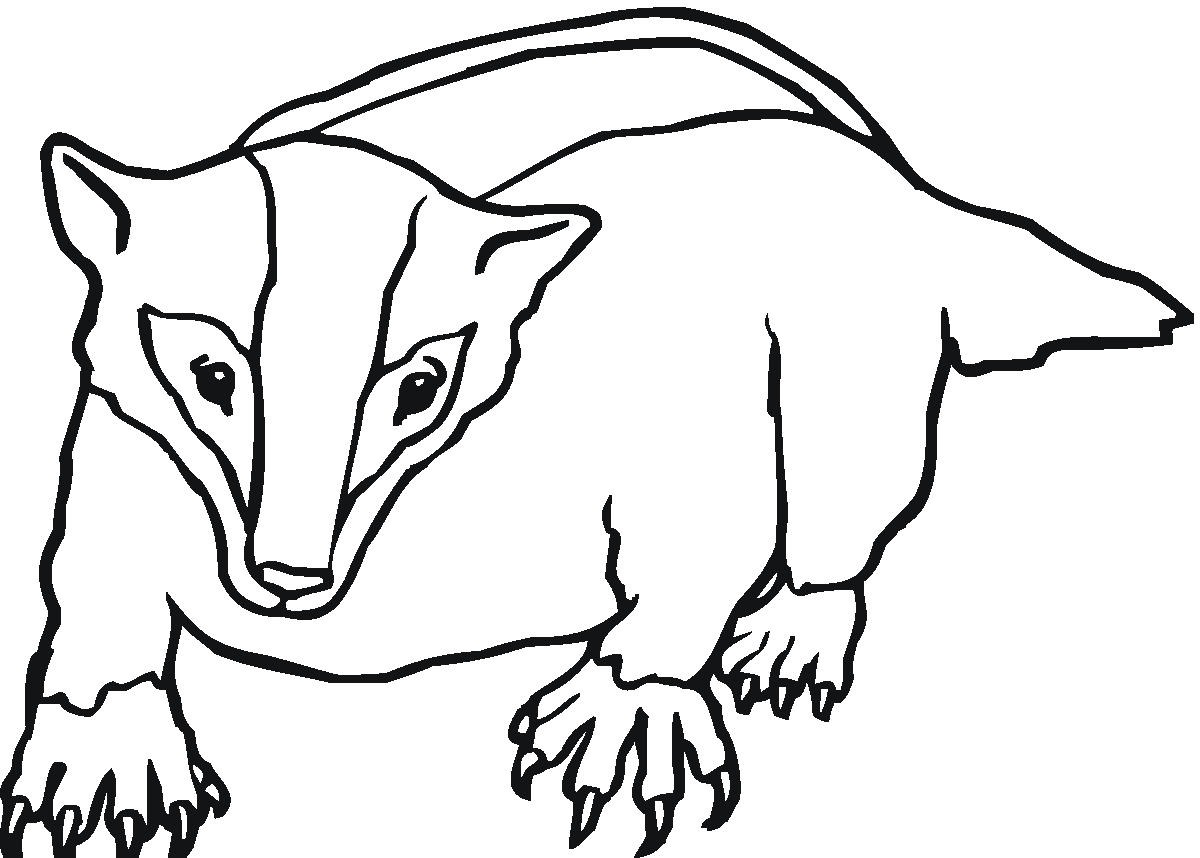 badger mask template Colouring Pages (page 3)