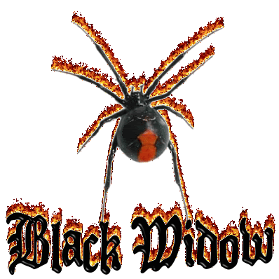 Spider Animations by Anita Long | Photobucket