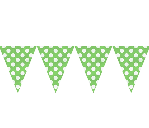 green polka dot flag banner | Party Direct