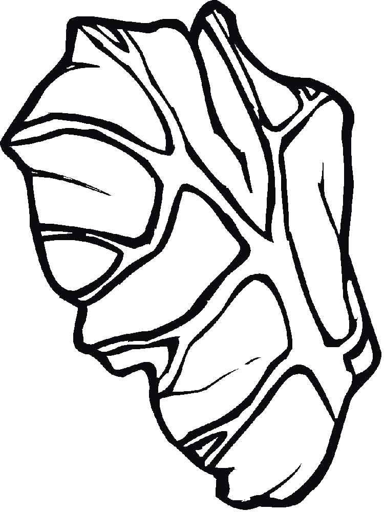 Lettuce coloring pages. Download and print Lettuce coloring pages