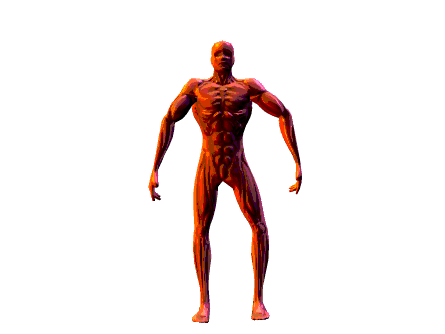 animated gifs collection:PEOPLE, free Animated Gifs (thousands ...