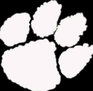 Picture Of Tiger Paw