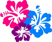 3rd grade luau