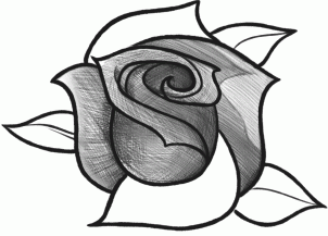 How to Sketch a Rose, Step by Step, Sketch, Drawing Technique ...