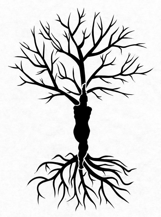 Trees, Beautiful and Stencils