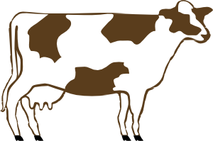 Dairy cow clipart