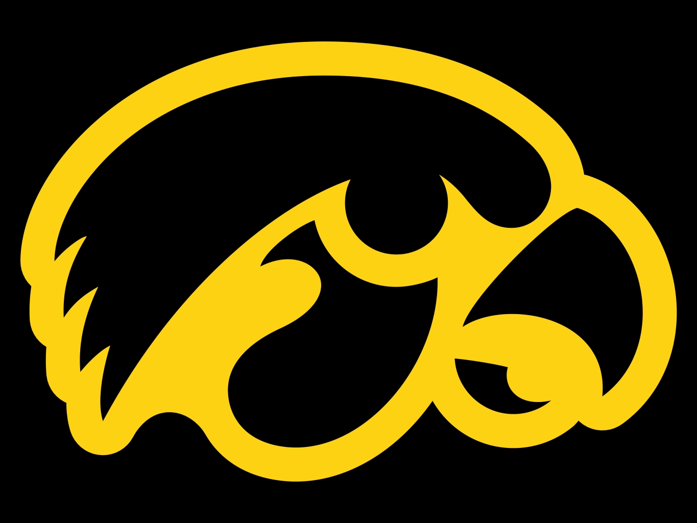 Iowa Hawkeye Football Wallpaper Group (67+)