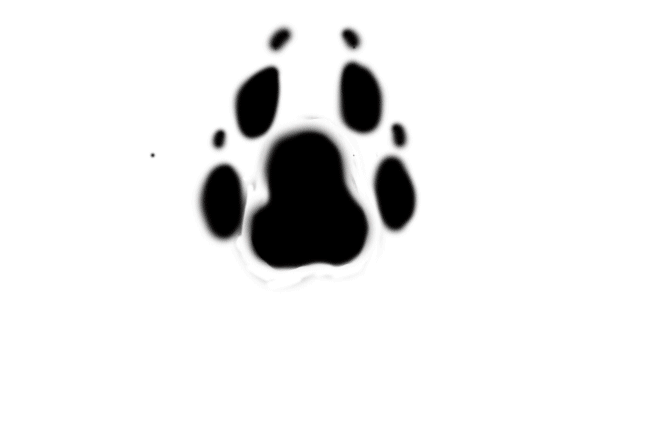 Bloody paw print