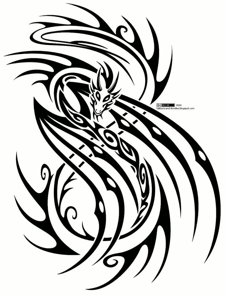 Tribal Dragon Tattoos | Dragon ...