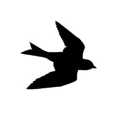 Flying bird outline clipart