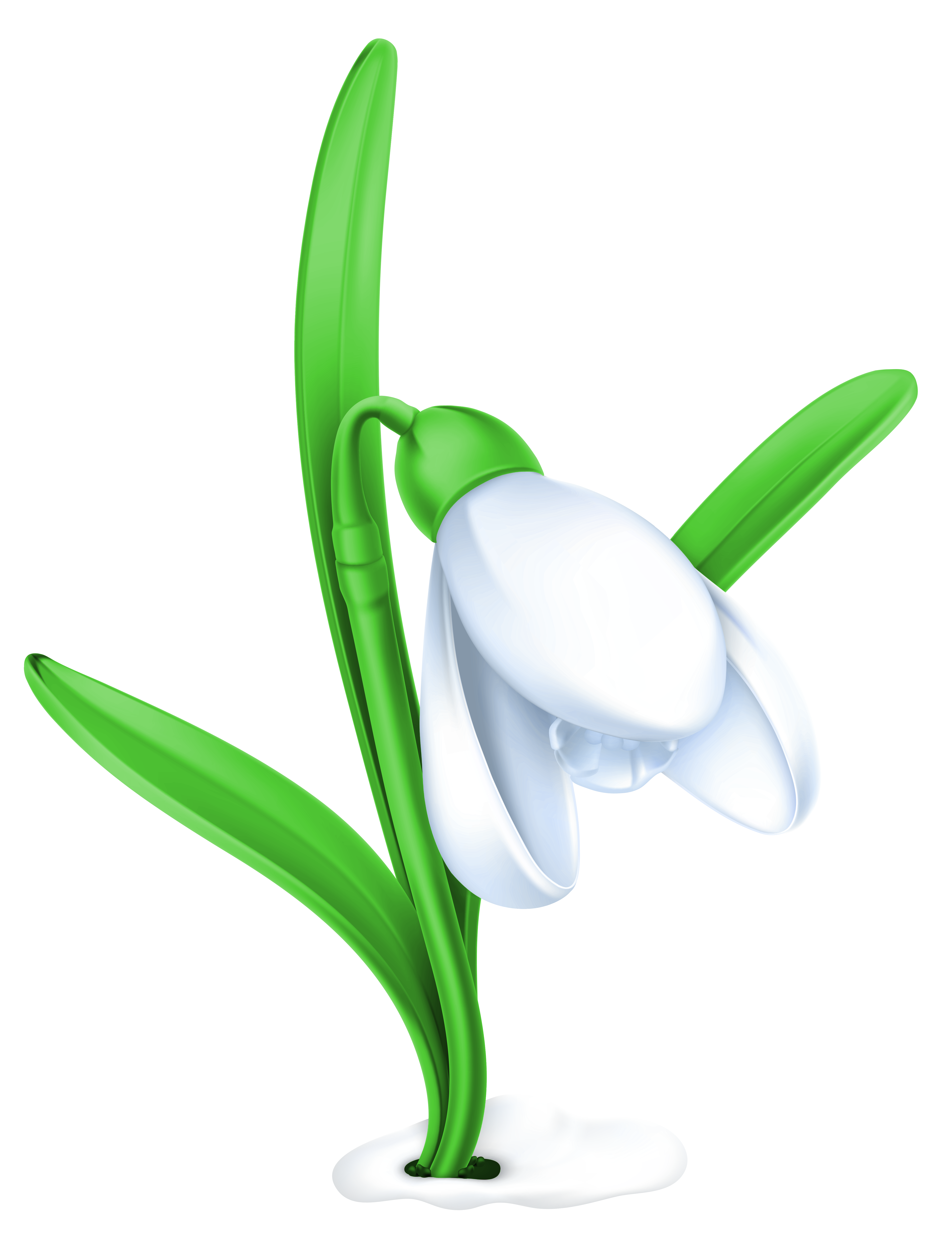 Transparent Snowdrop PNG Clipart Picture