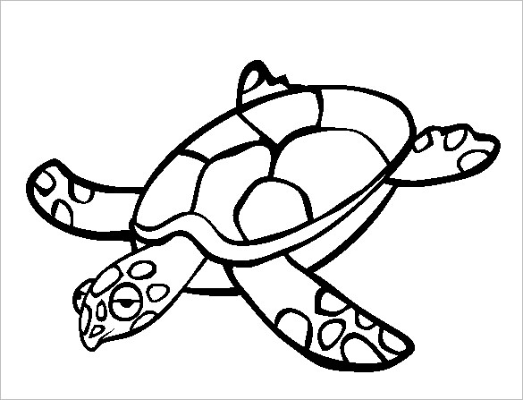 20+ Turtle Templates, Crafts & Colouring Pages | Free & Premium ...
