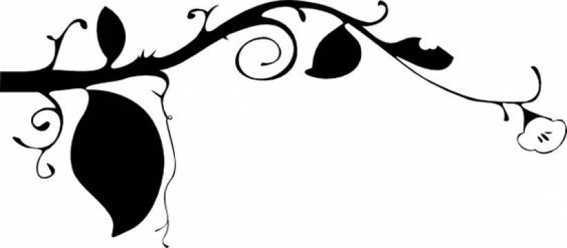 black and white border designs black flower vine clip art