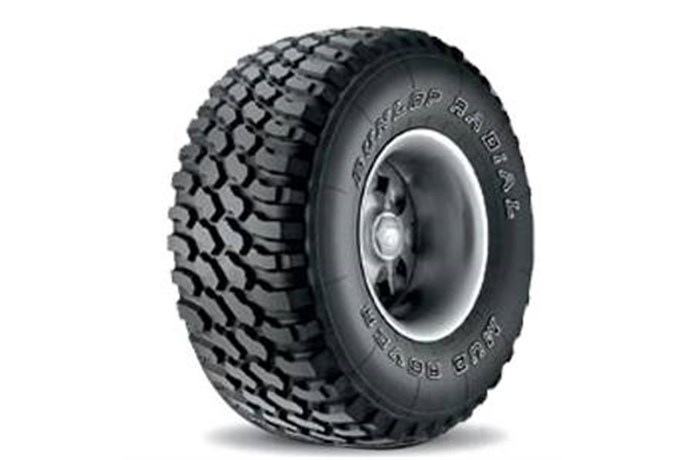 New Dunlop Light Truck & SUV Tires For Sale in Remus, MI ...