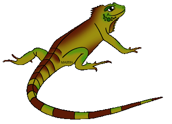 Lizard Clipart - 52 cliparts
