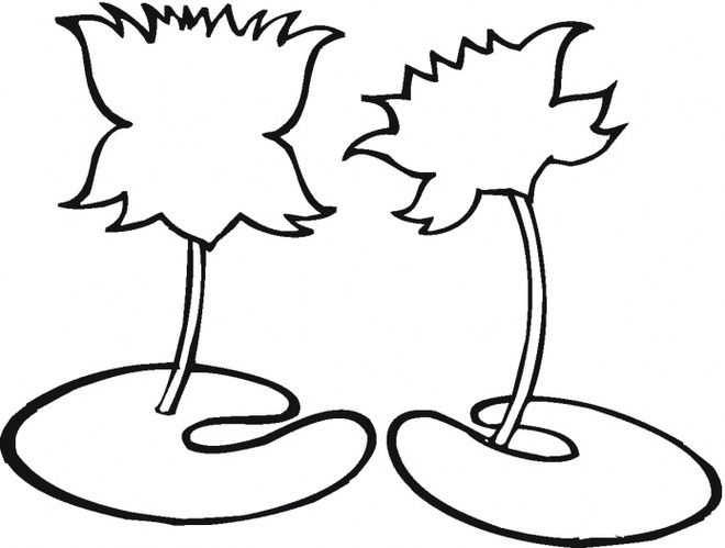 Lotus Flower Outlines Clipart - Free to use Clip Art Resource