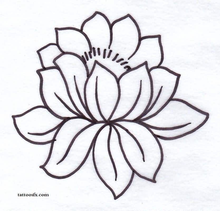 37+ Outline Lotus Tattoos Collection