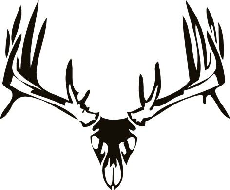 Deer Skull Drawing | Deer Skull ...