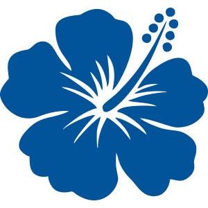 Fleur D Hibiscus | Hibiscus ...