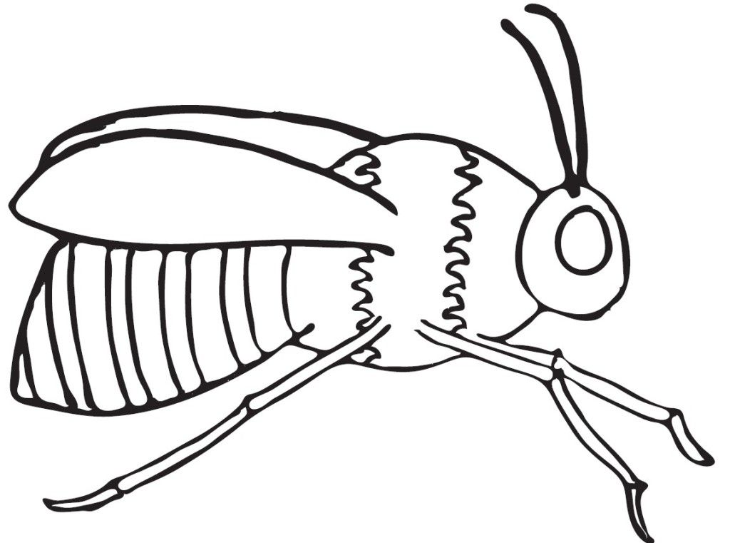Bumble Bee Template Printable - AZ Coloring Pages