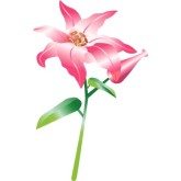 Flower Baby Clipart