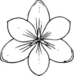 Saffron Crocus Flower Vector - Download 1,000 Vectors (Page 1)