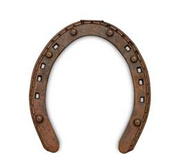Good Luck Horseshoe