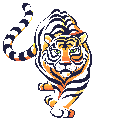 graphics-white-tiger-643351.gif