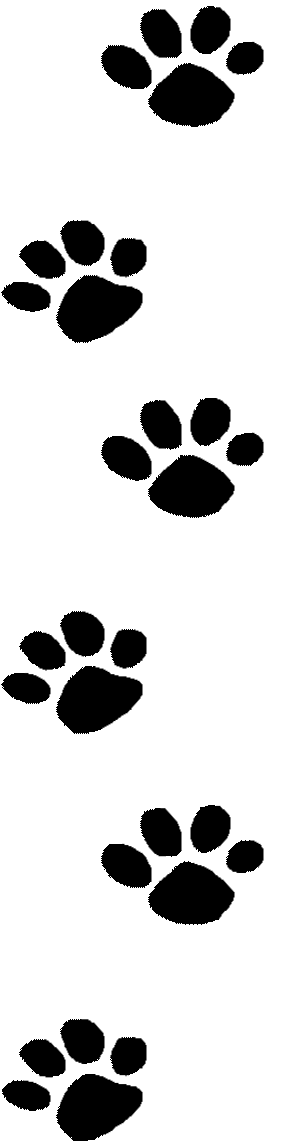 Wildcat Paw Print