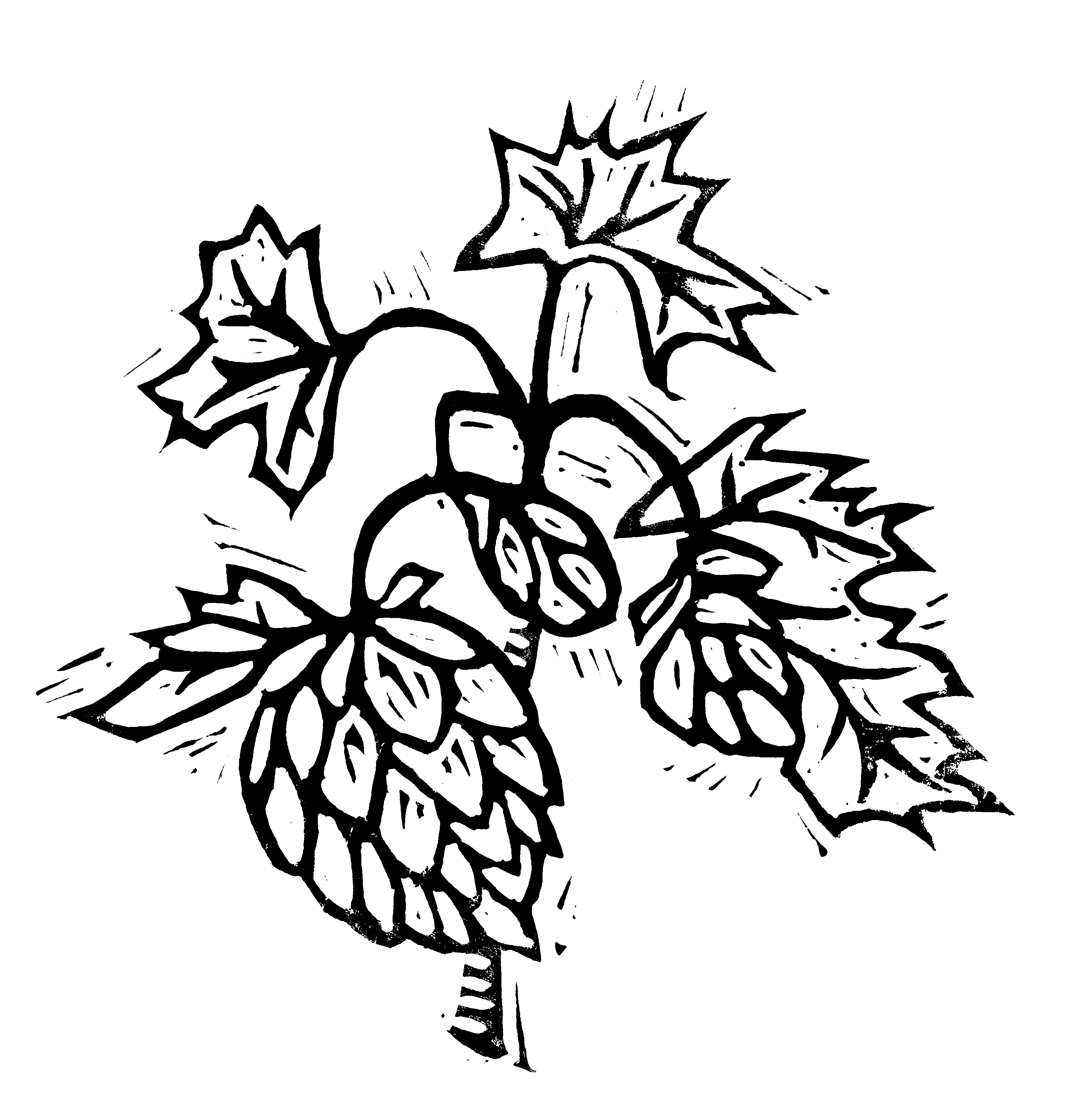 Line Drawings Of Vegetables