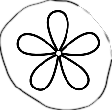 sand_dollar_black_white_line_ ...
