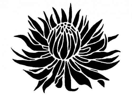 Large PROTEA Flower, Reusable EASY Wall STENCIL DIY Home Decor ...