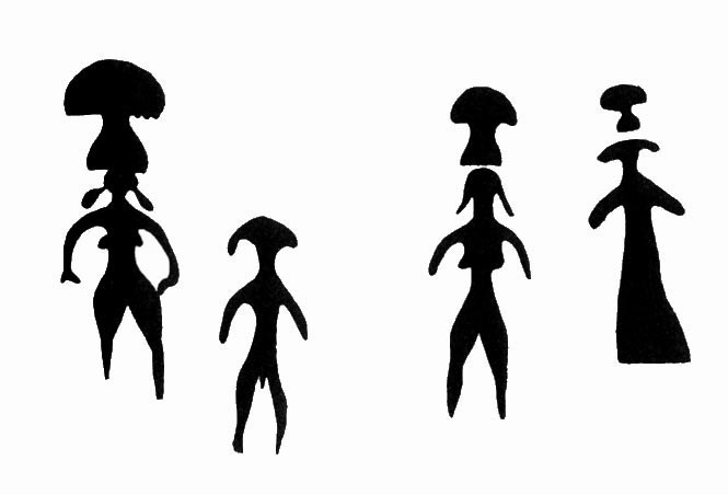 animation | The Teleomorph