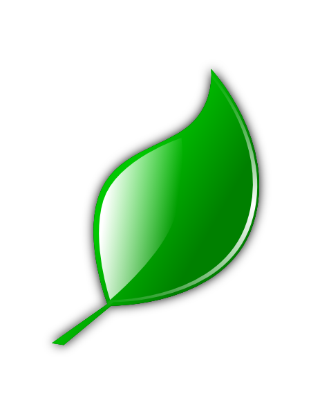 Cartoon Leaf | Free Download Clip Art | Free Clip Art | on Clipart ...