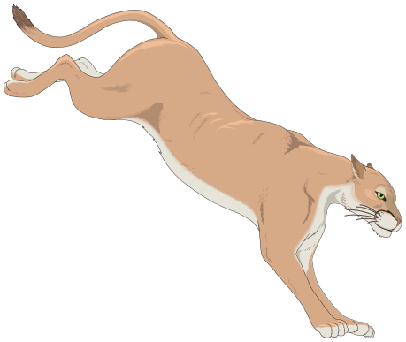 Mountain Lion Free Clipart