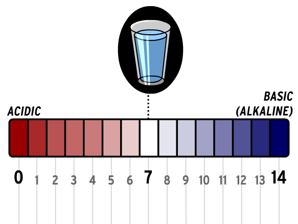 pH Scale - BrainPOP