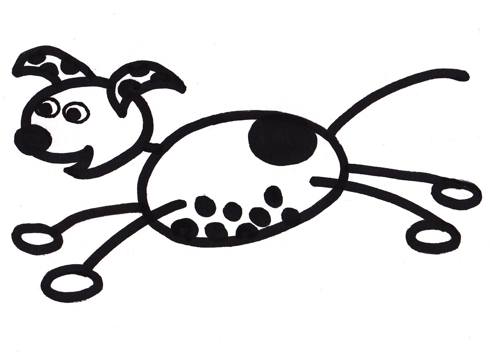 Spotty Dog makes an entrance | Pokolbin Purple
