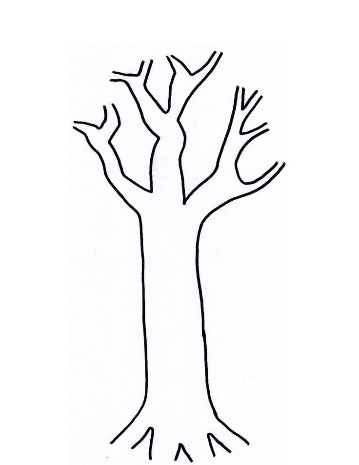 Tree Trunk Clipart Free