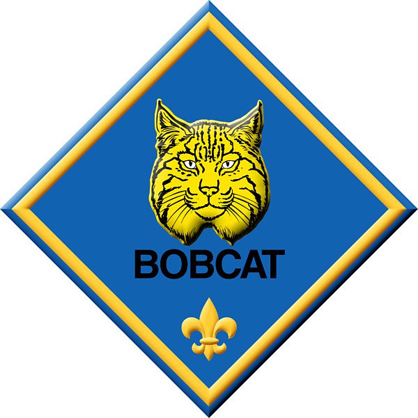 Cub scout clip art