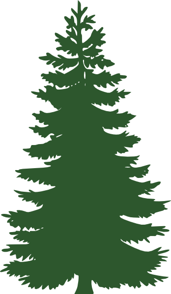 Evergreen Clipart - Tumundografico