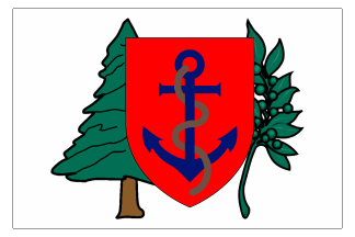 Historical Flags of Our Ancestors - American Revolutionary War Flags
