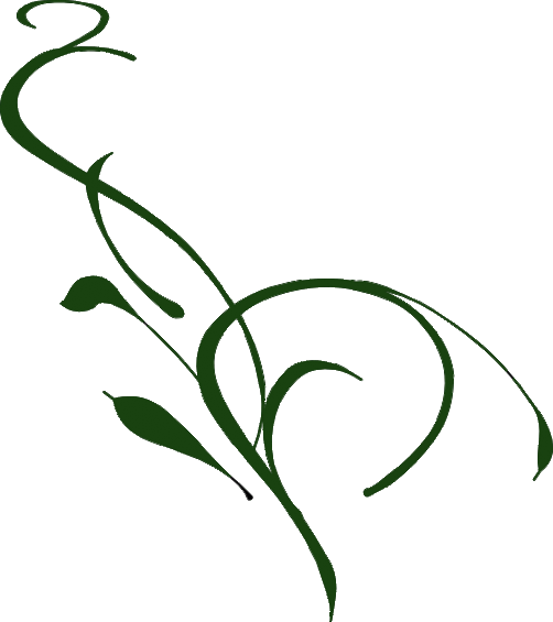 Vine Drawings Clipart - Free to use Clip Art Resource
