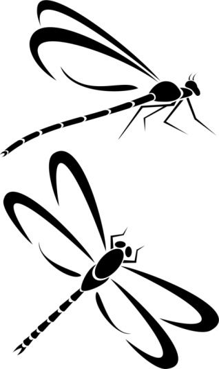 Google, Dragon flies and Drawings