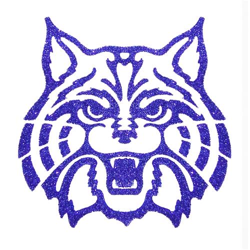 15+ Wildcat Face Clip Art