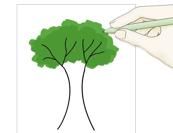 Drvo CrteÅ¾ - ClipArt Best