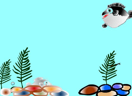 FUNNY FISHING GIF'S | Fishing The Big 50
