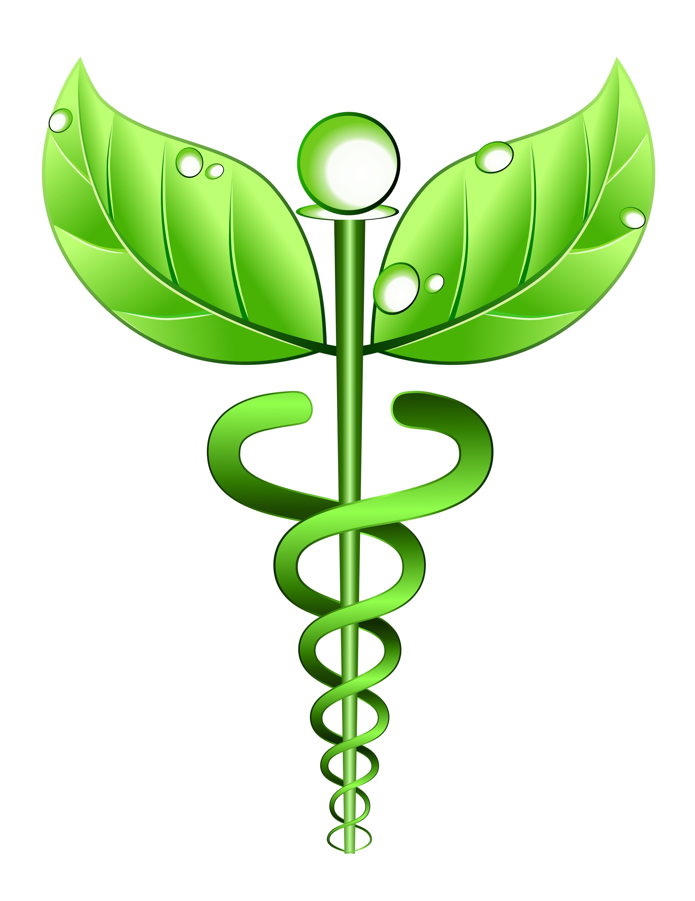 Homeopathic Doctors - News - Bubblews