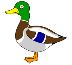Drawing Cartoon Ducks