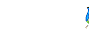 animated-peacock-image-0001.gif